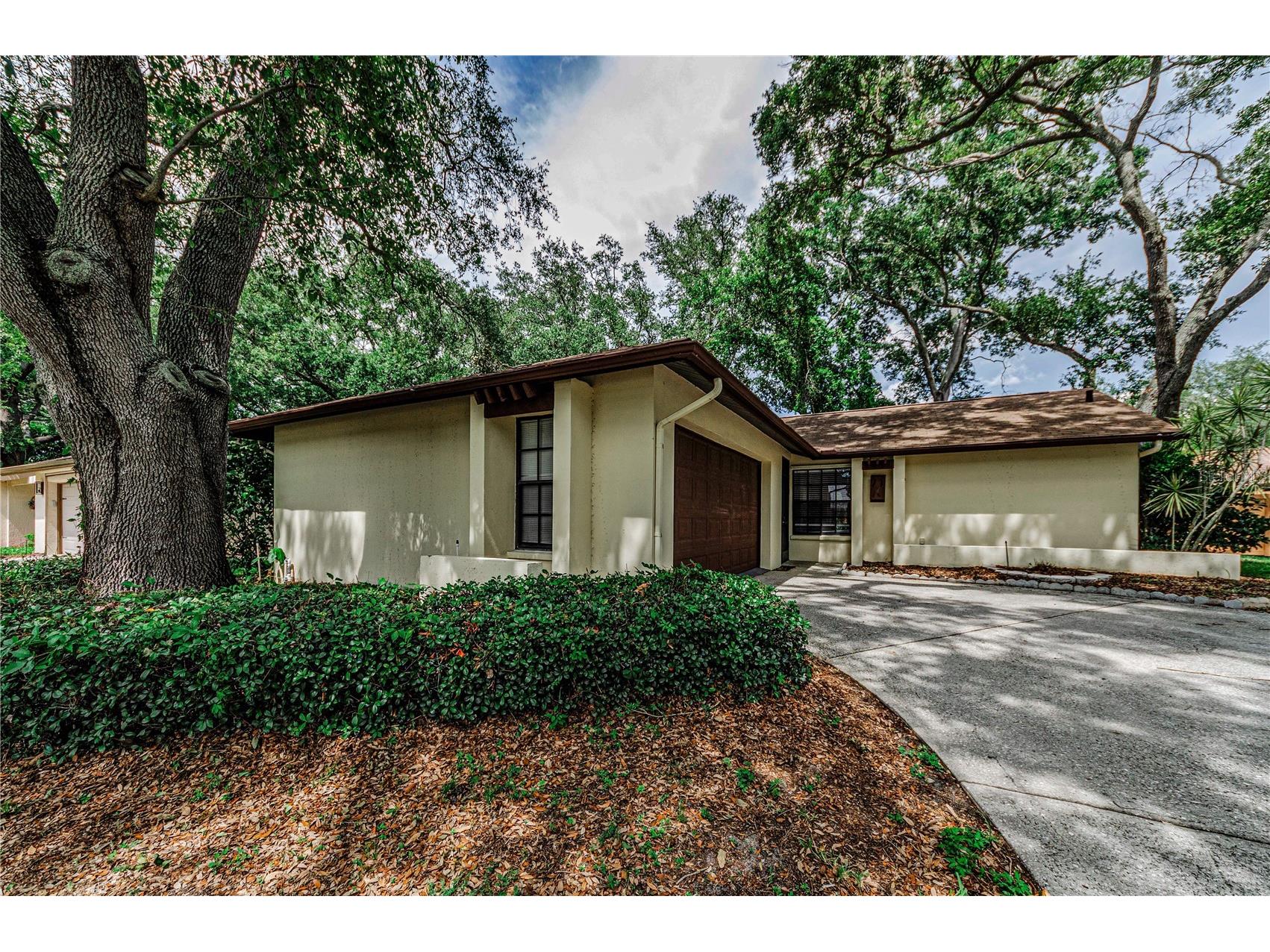260 Arbor Glen Drive Palm Harbor FL 34683 TB8529262 image42