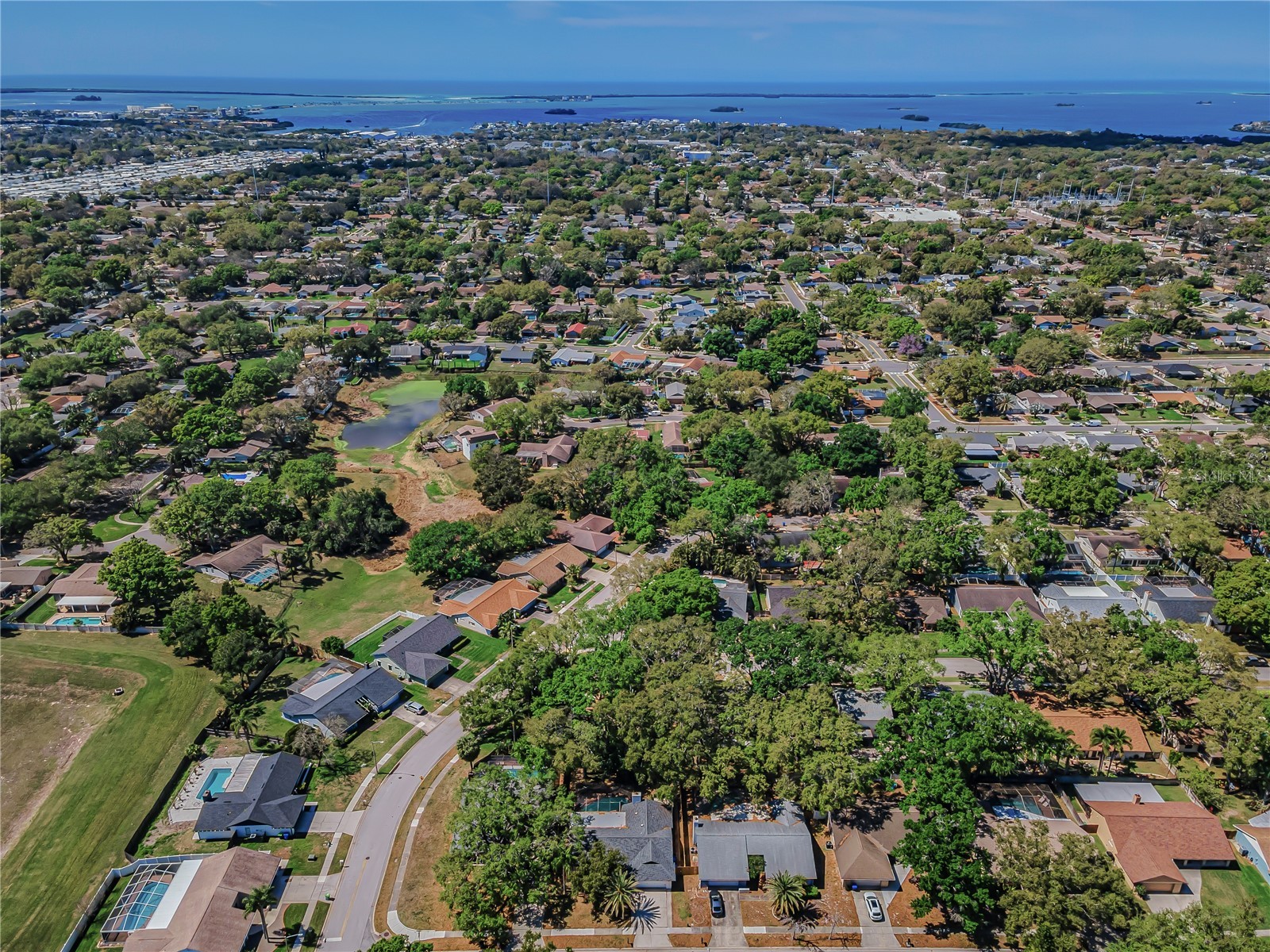260 Arbor Glen Drive Palm Harbor FL 34683 TB8529262 image45