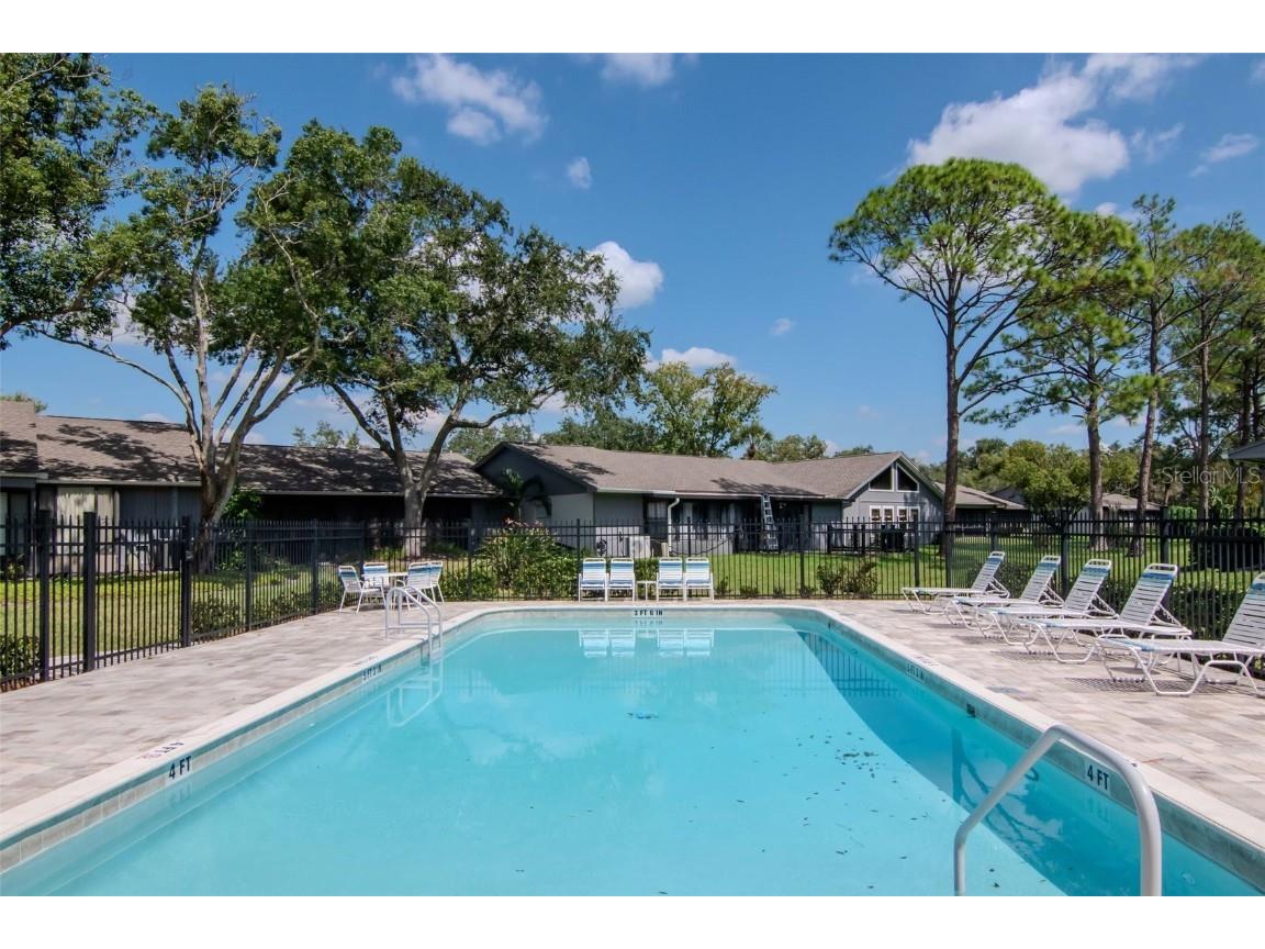 260 Balsam Drive Oldsmar FL 34677 TB8433742 image24