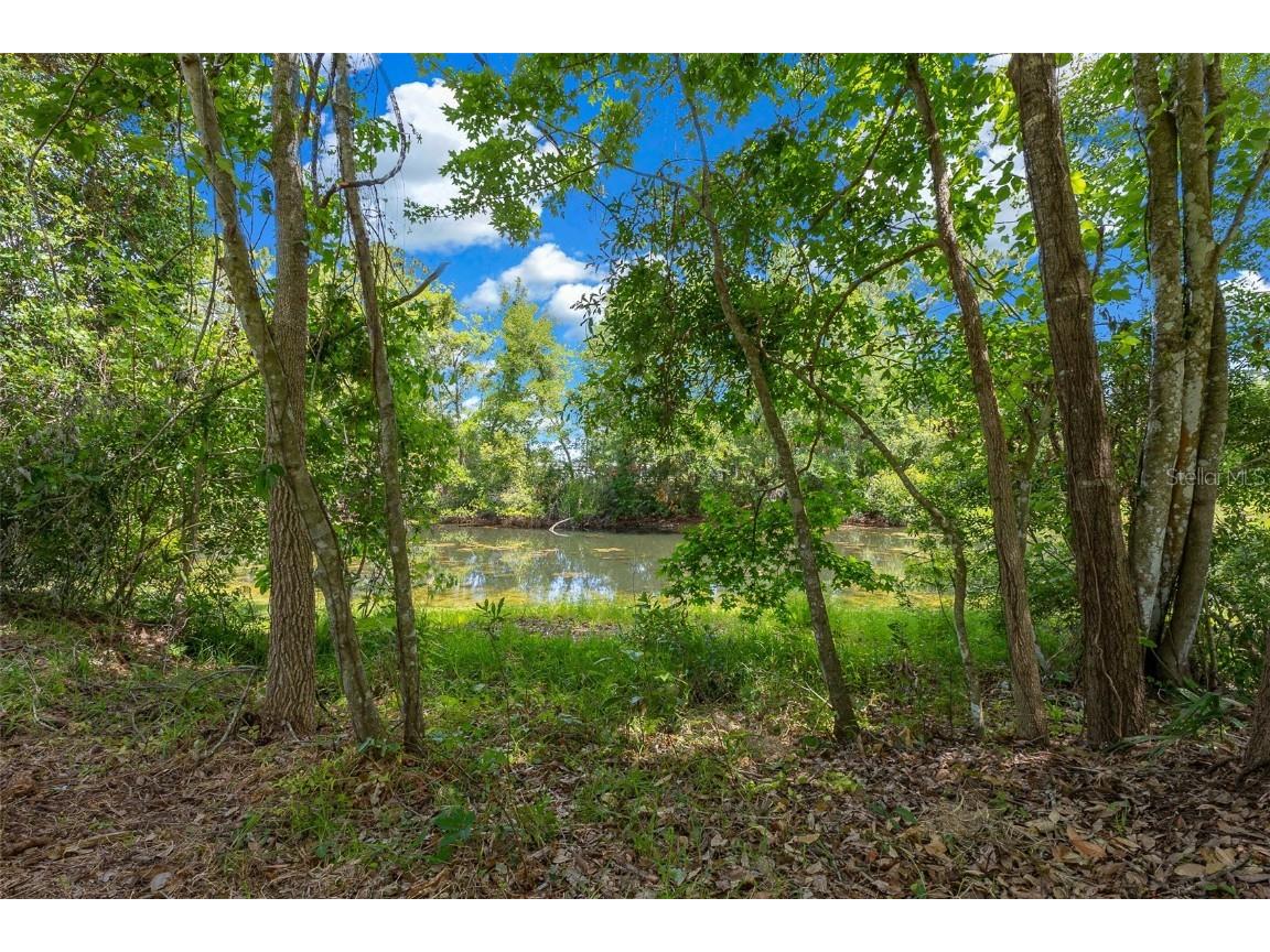 260 Country Circle Drive W Port Orange FL 32128 OM700861 image51