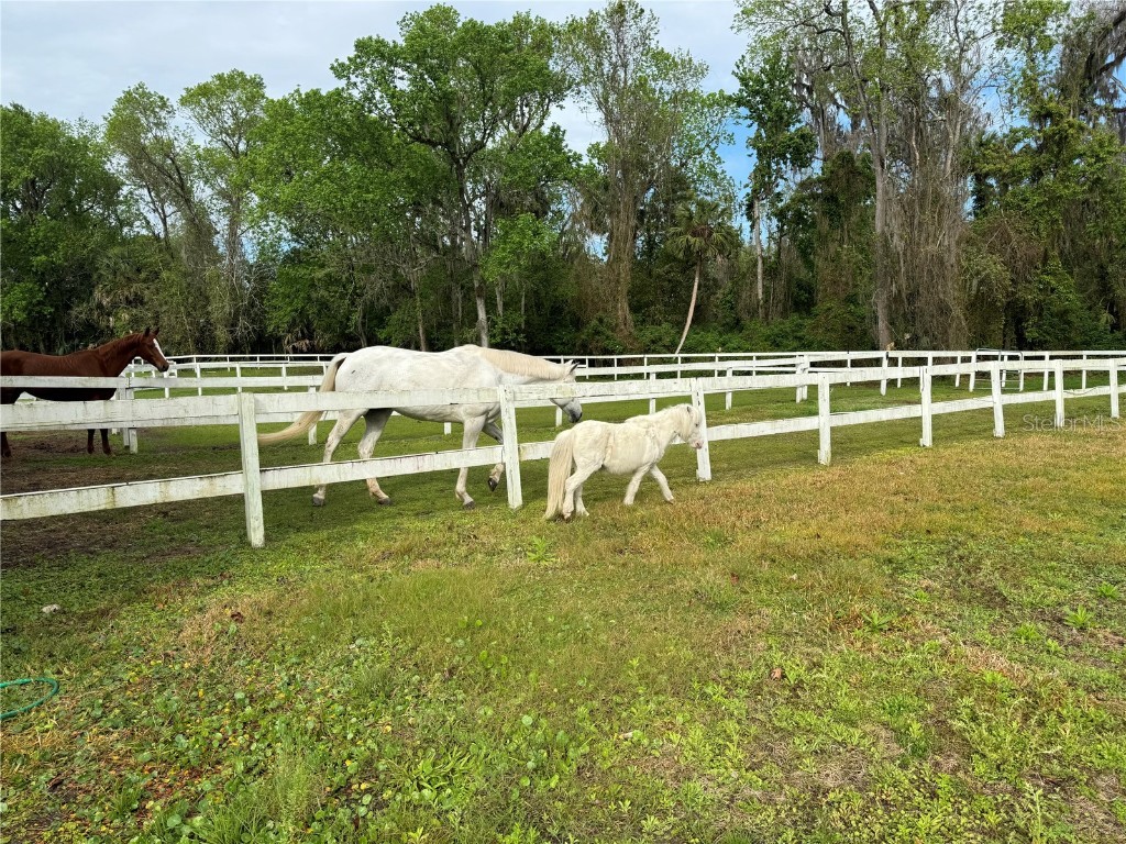 260 Crown Oaks Way #260 Longwood FL 32779 O6335847 image43