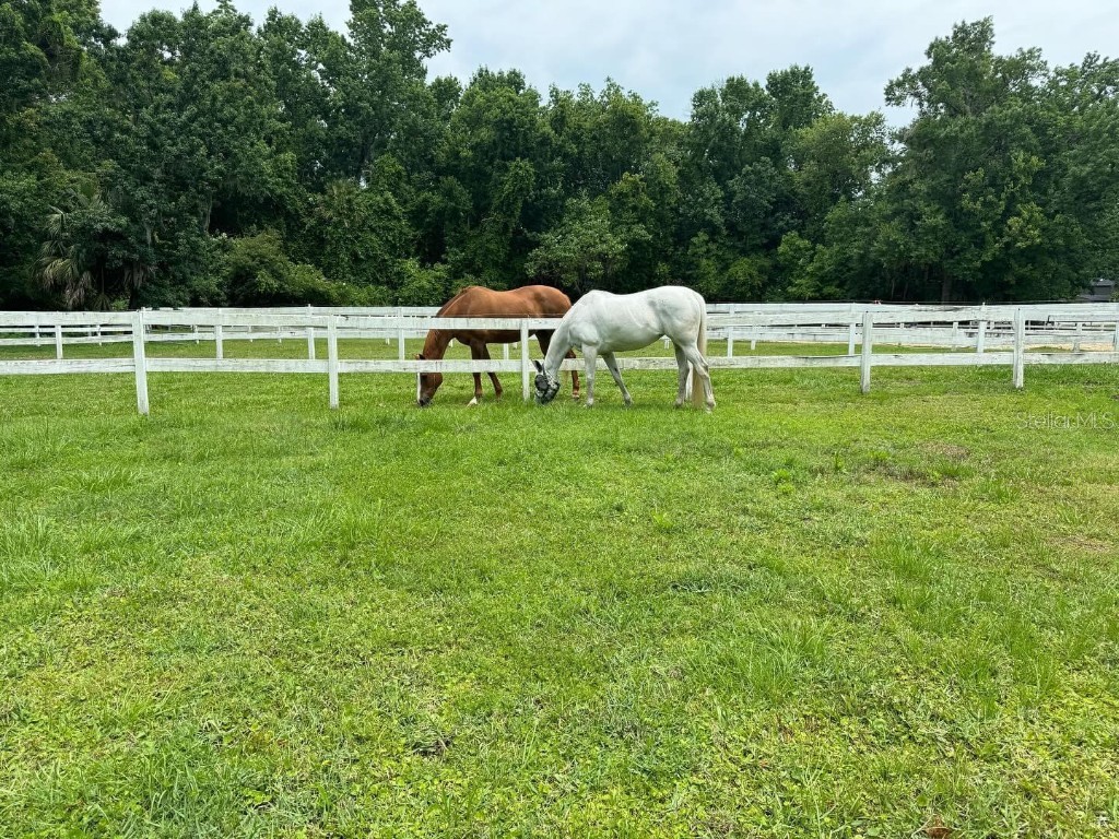 260 Crown Oaks Way #260 Longwood FL 32779 O6335847 image45