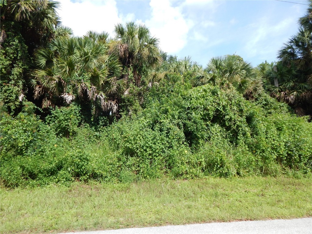 260 Ferdon Circle Port Charlotte FL 33954 C7447972 image1