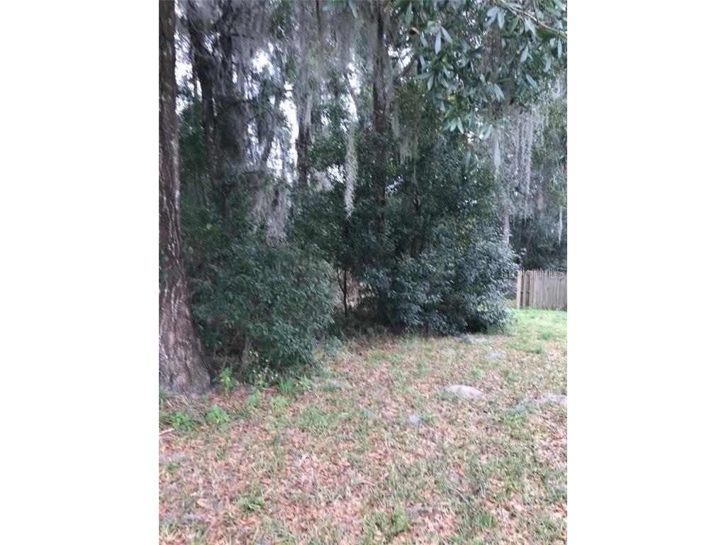 260 Mercers Fernery Road Deland FL 32720 V4942382 image3