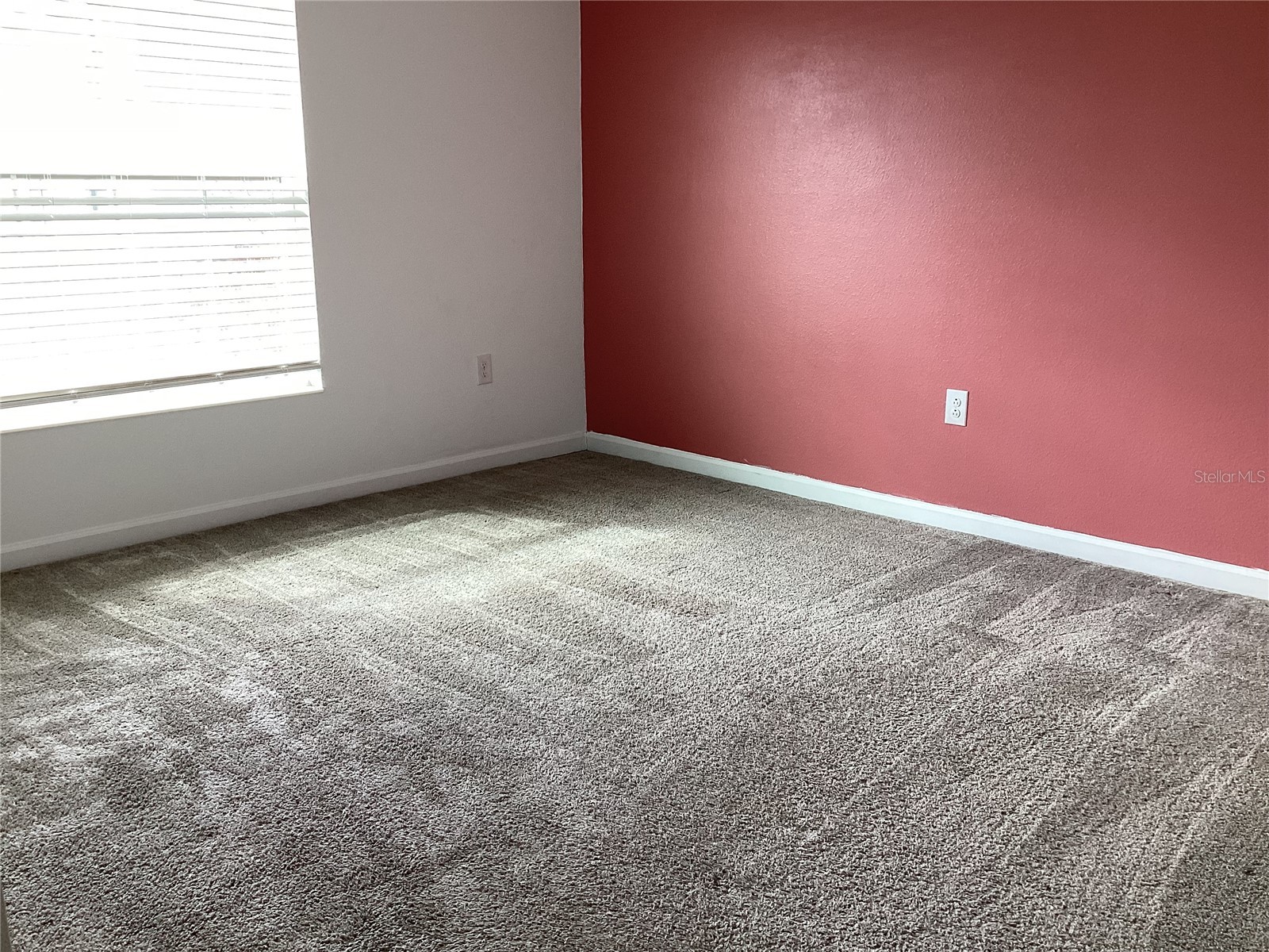 260 Pershing Street Bartow FL 33830 S5139528 image78