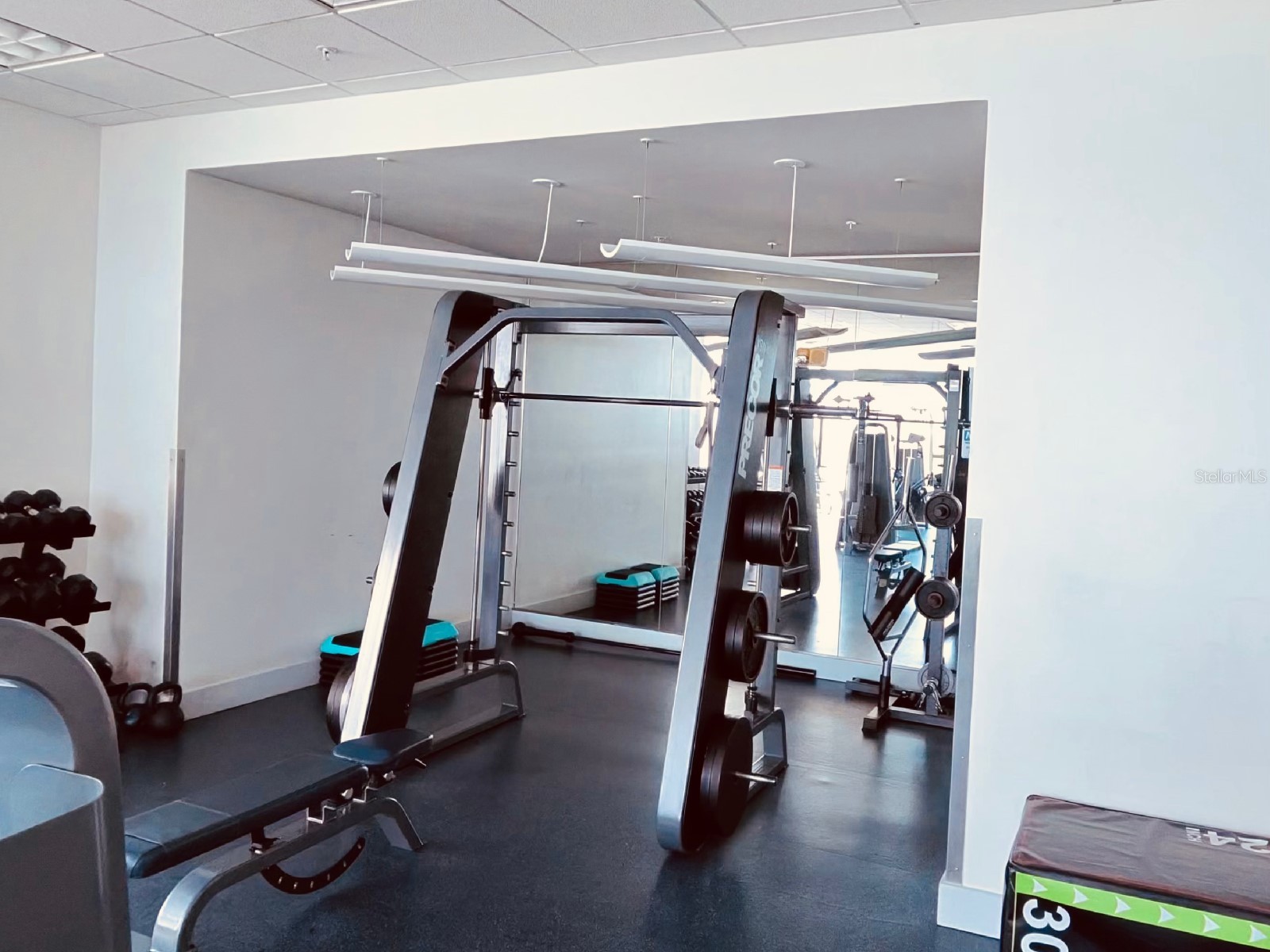 260 S Osceola Avenue #1005 Orlando FL 32801 - LAKE EOLA O6380001 image58