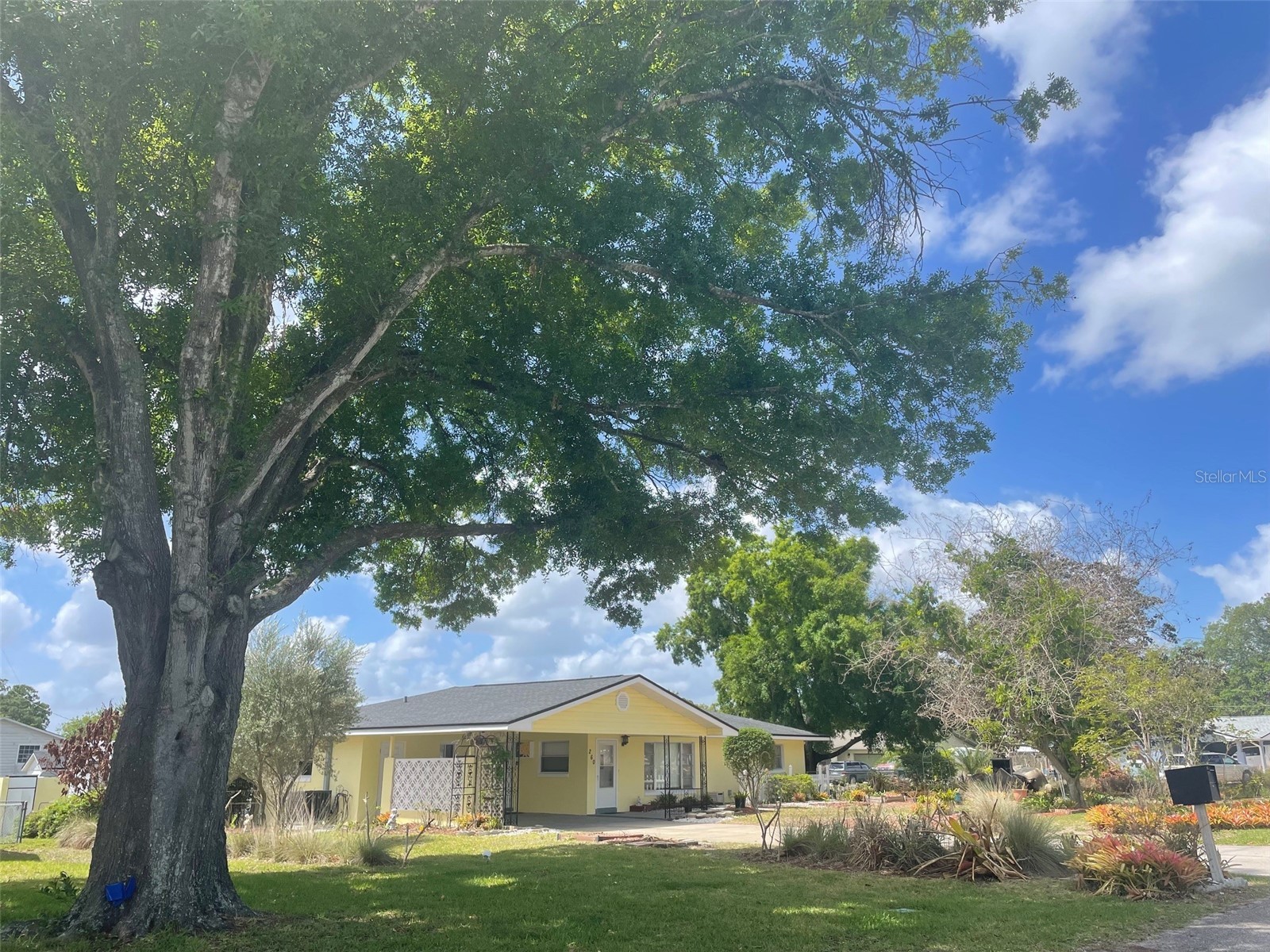 260 W Harbord Street Lake Alfred FL 33850 L4960828 image1