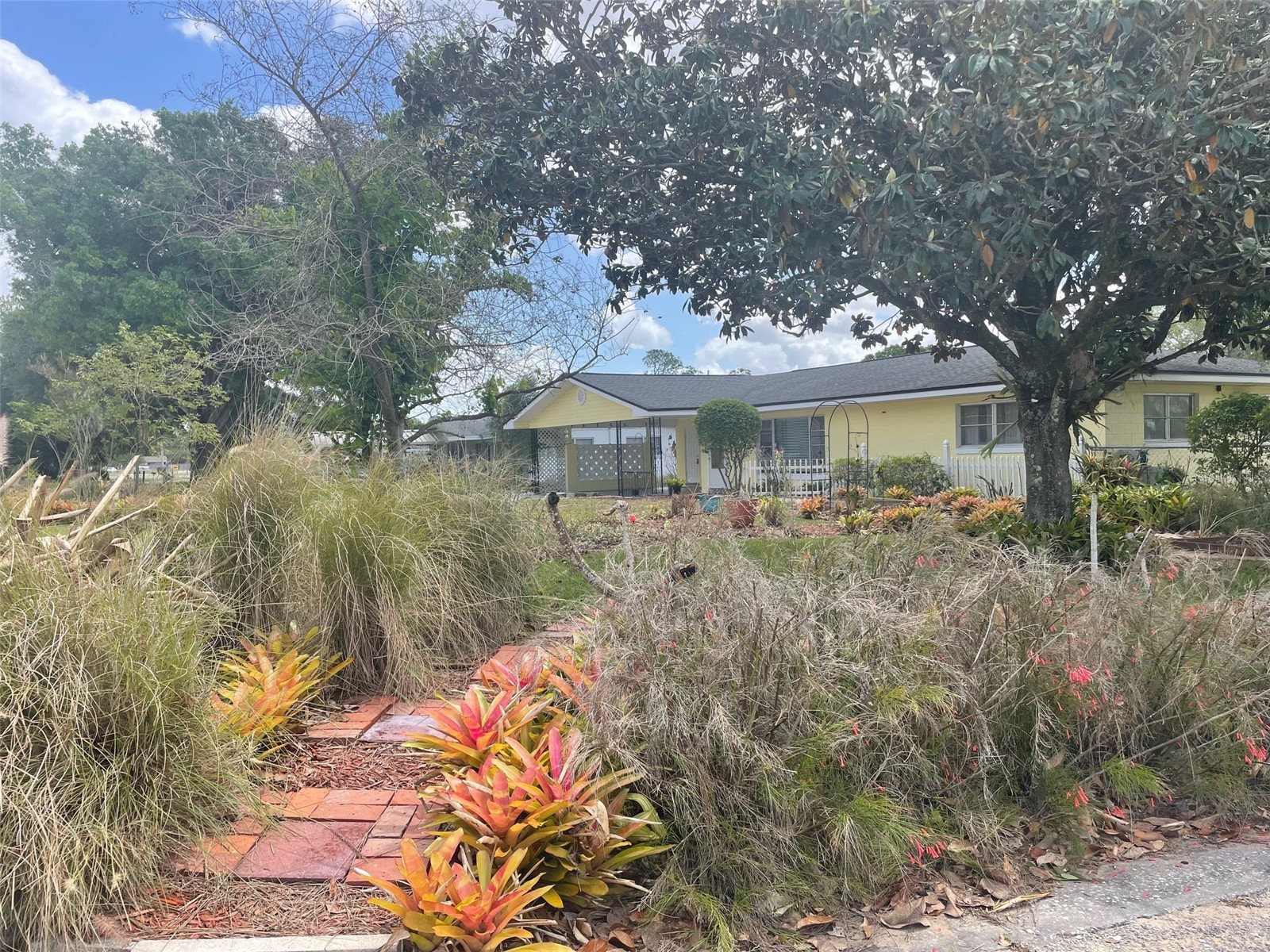 260 W Harbord Street Lake Alfred FL 33850 L4960828 image31