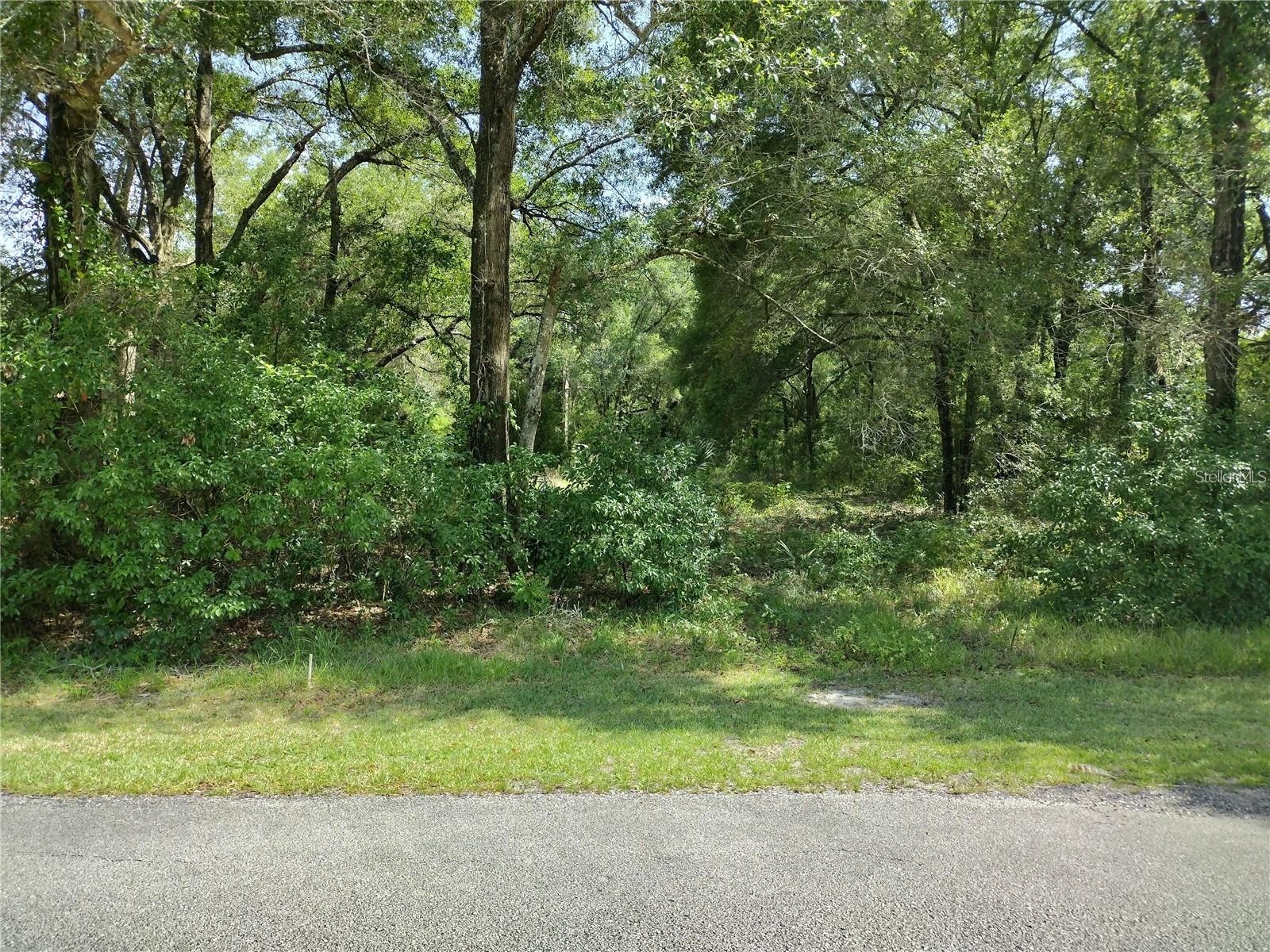 260 W Virginia Avenue Deland FL 32720 V4950292 image1