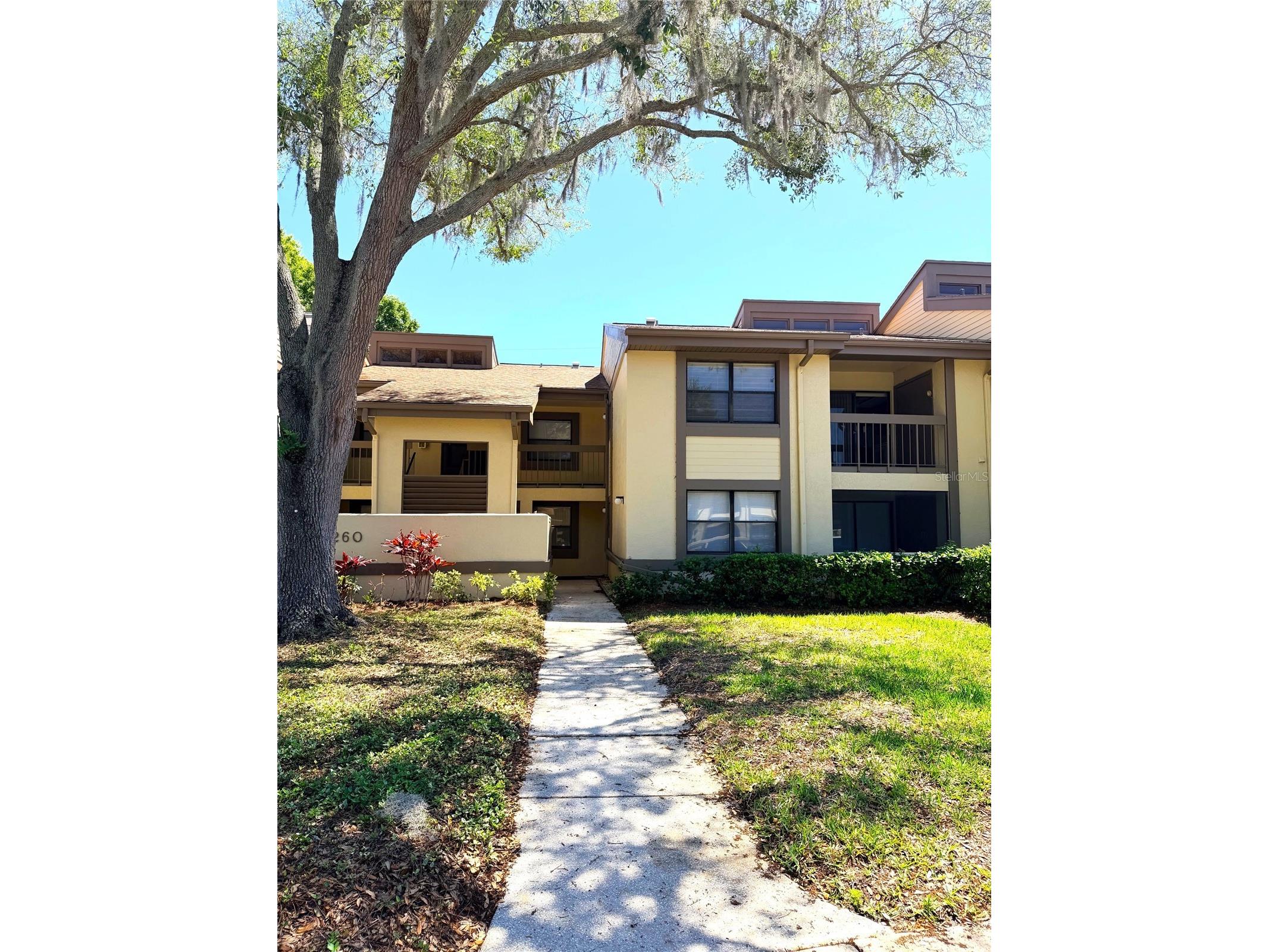 260 Woodlake E #260 Oldsmar FL 34677 TB8494529 image1