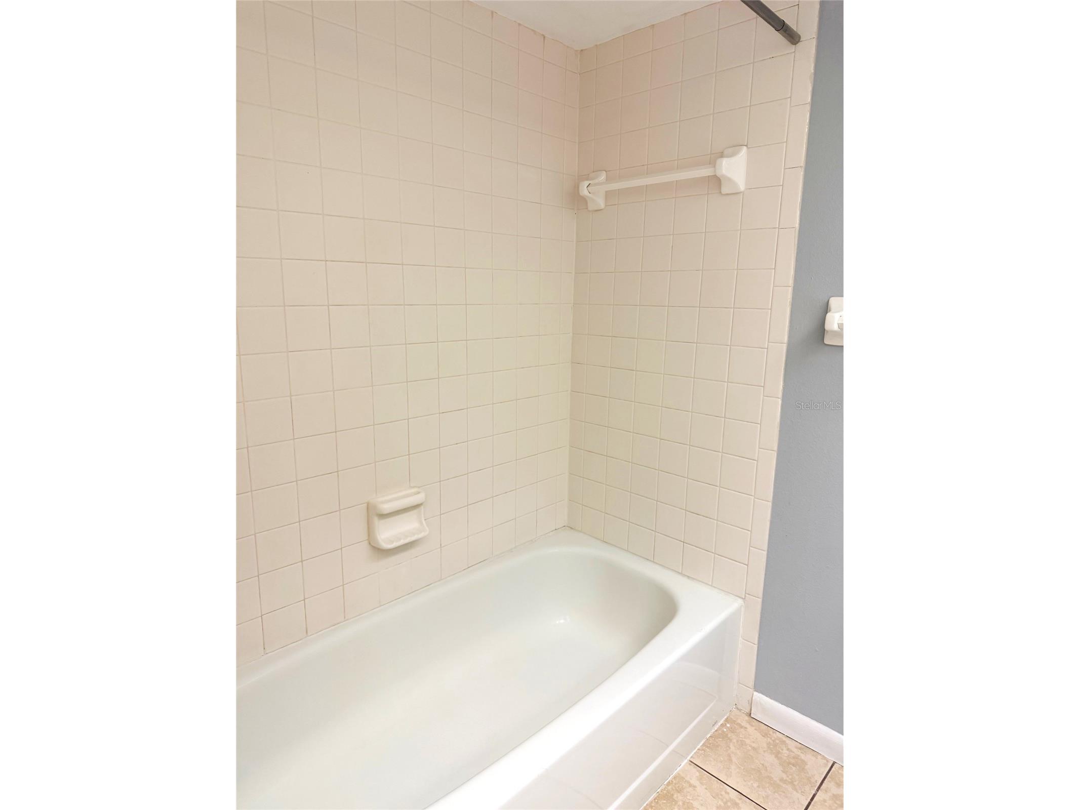 260 Woodlake E #260 Oldsmar FL 34677 TB8494529 image10