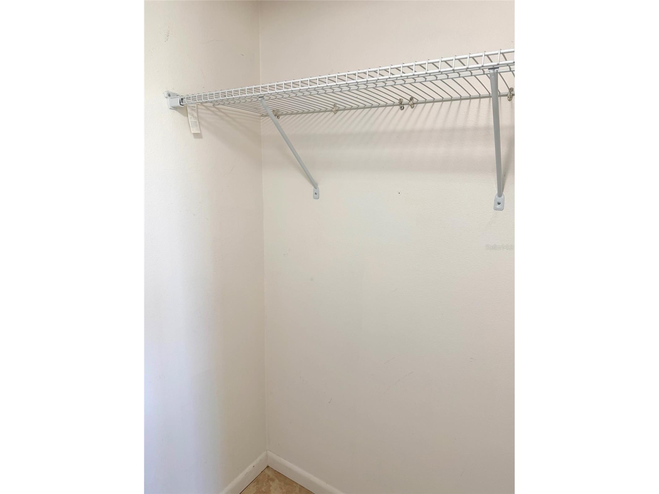 260 Woodlake E #260 Oldsmar FL 34677 TB8494529 image11