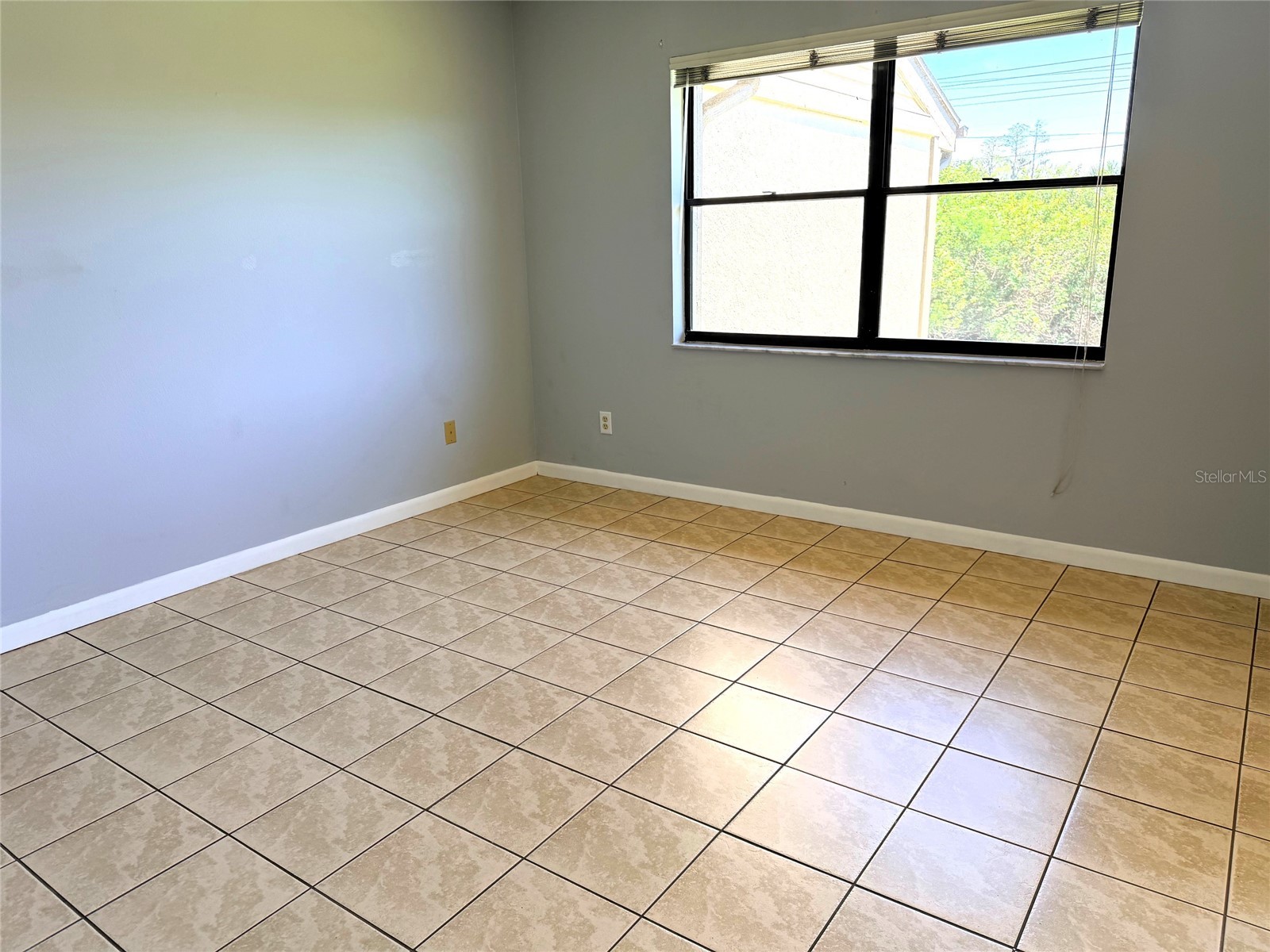 260 Woodlake E #260 Oldsmar FL 34677 TB8494529 image12