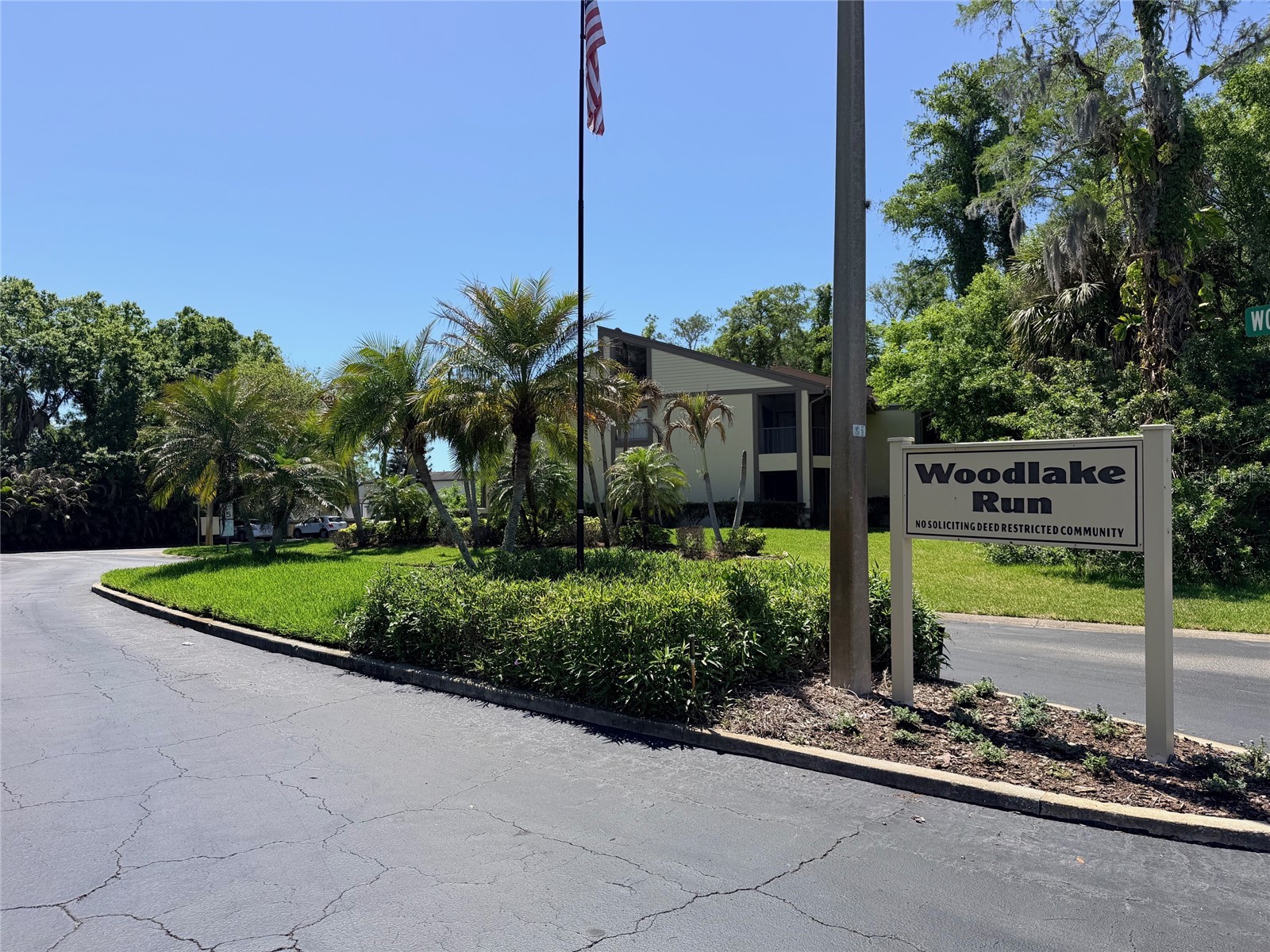 260 Woodlake E #260 Oldsmar FL 34677 TB8494529 image21
