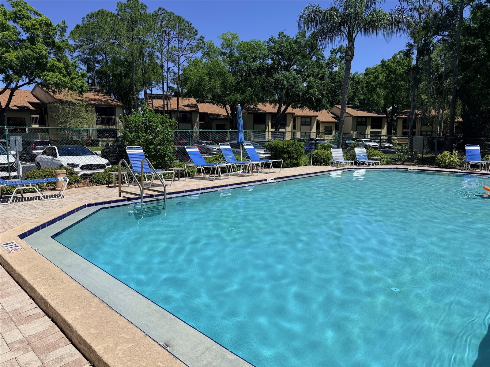 260 Woodlake E #260 Oldsmar FL 34677 TB8494529 image22