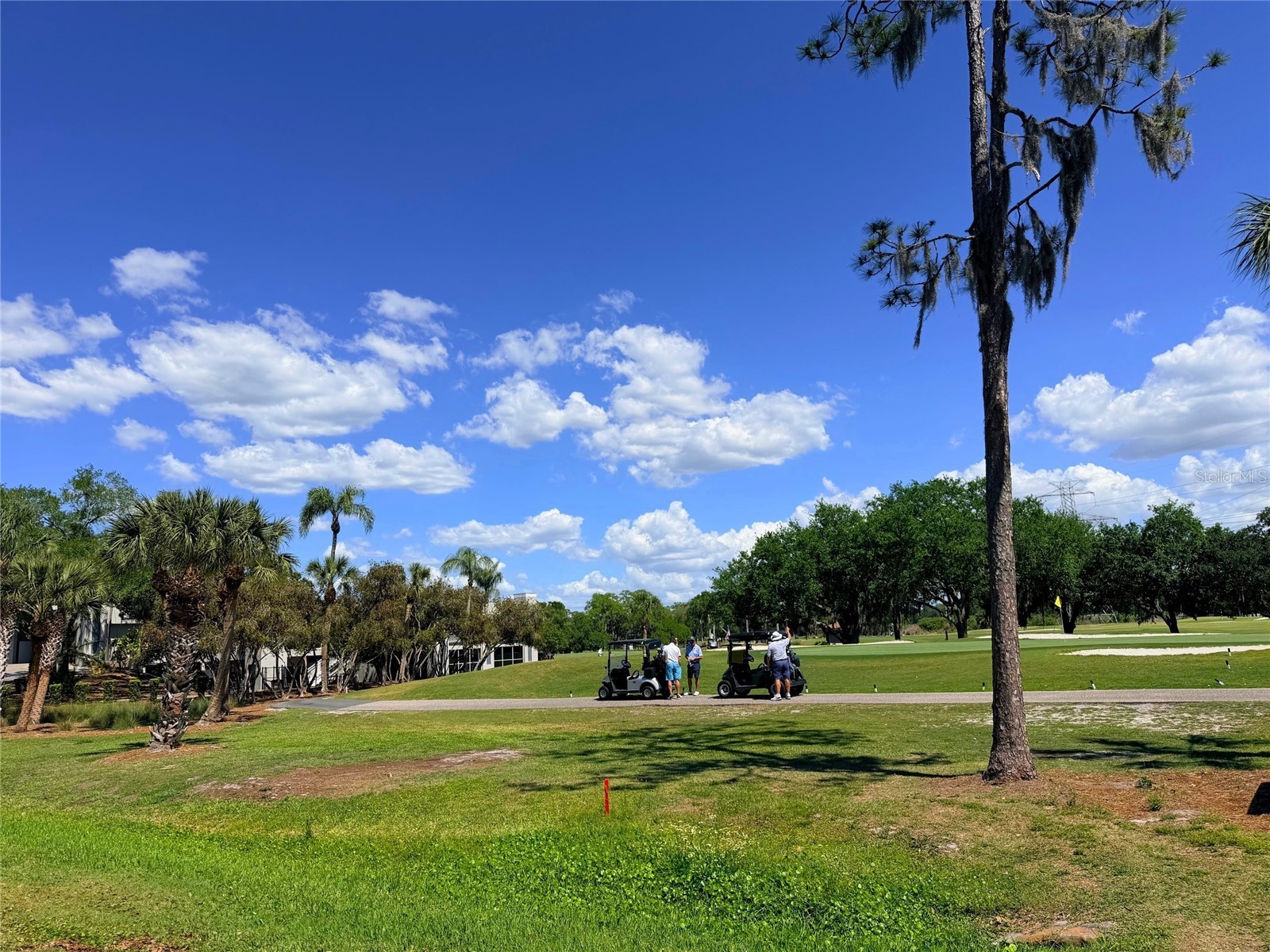 260 Woodlake E #260 Oldsmar FL 34677 TB8494529 image24