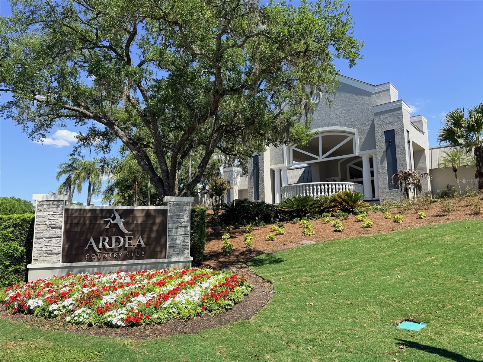 260 Woodlake E #260 Oldsmar FL 34677 TB8494529 image25