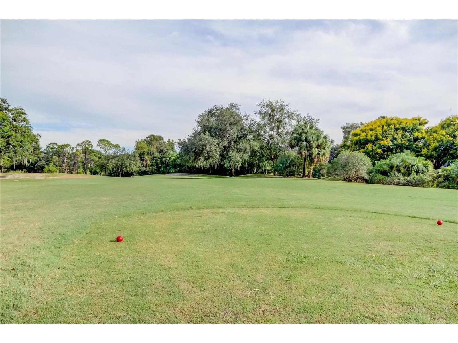 260 Woodlake E #260 Oldsmar FL 34677 TB8494529 image28