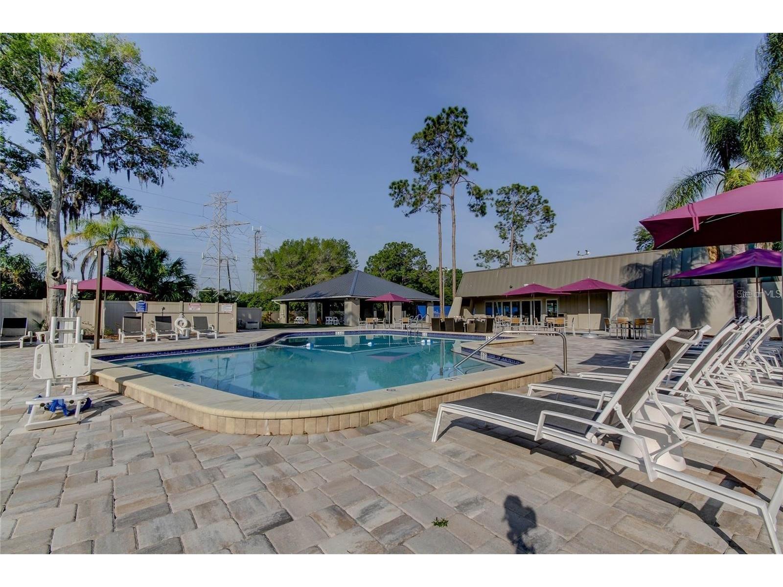 260 Woodlake E #260 Oldsmar FL 34677 TB8494529 image29
