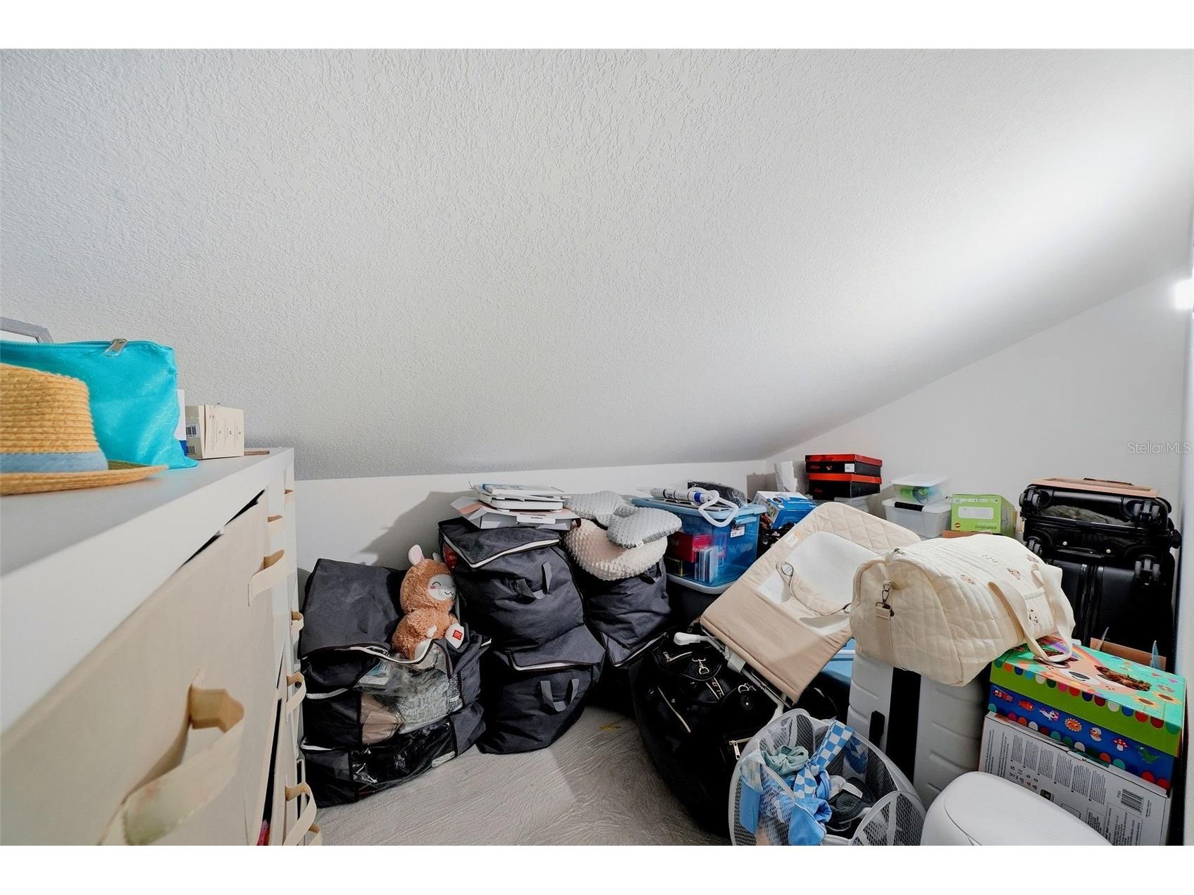 2600 Barksdale Court Clearwater FL 33761 TB8510469 image22