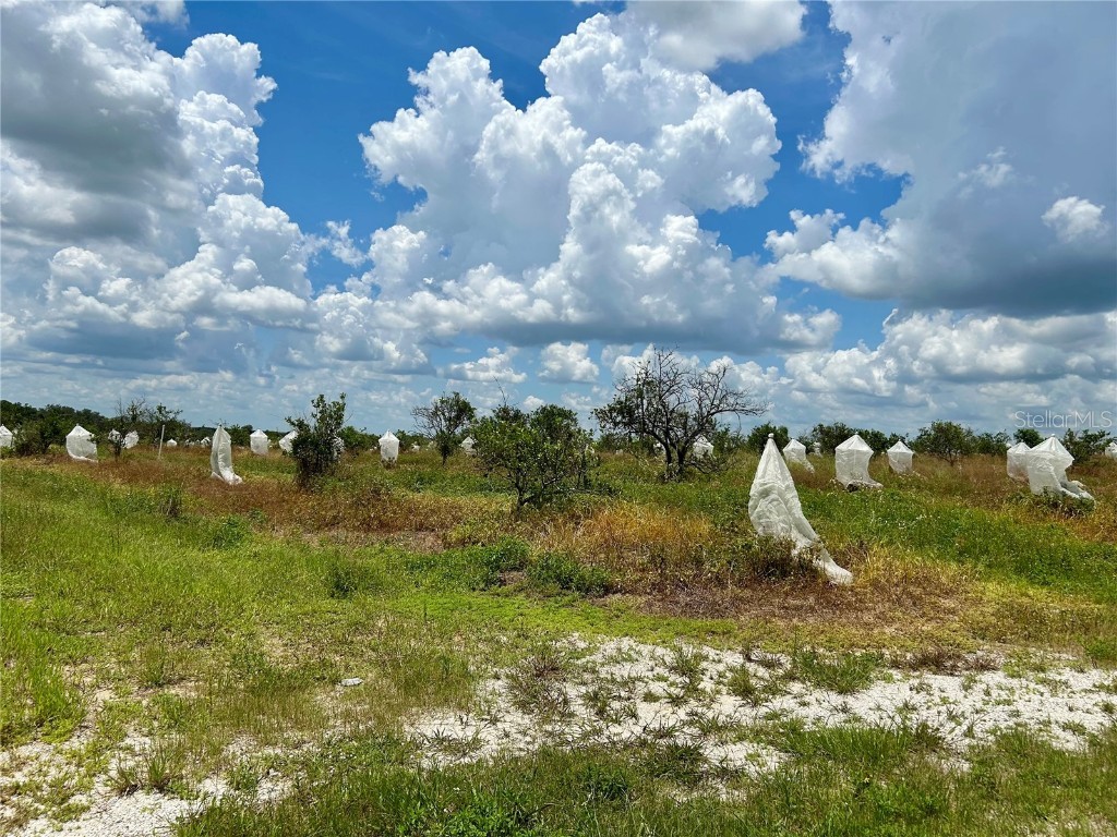 2600 E Oak Island Road Avon Park FL 33825 L4954612 image1