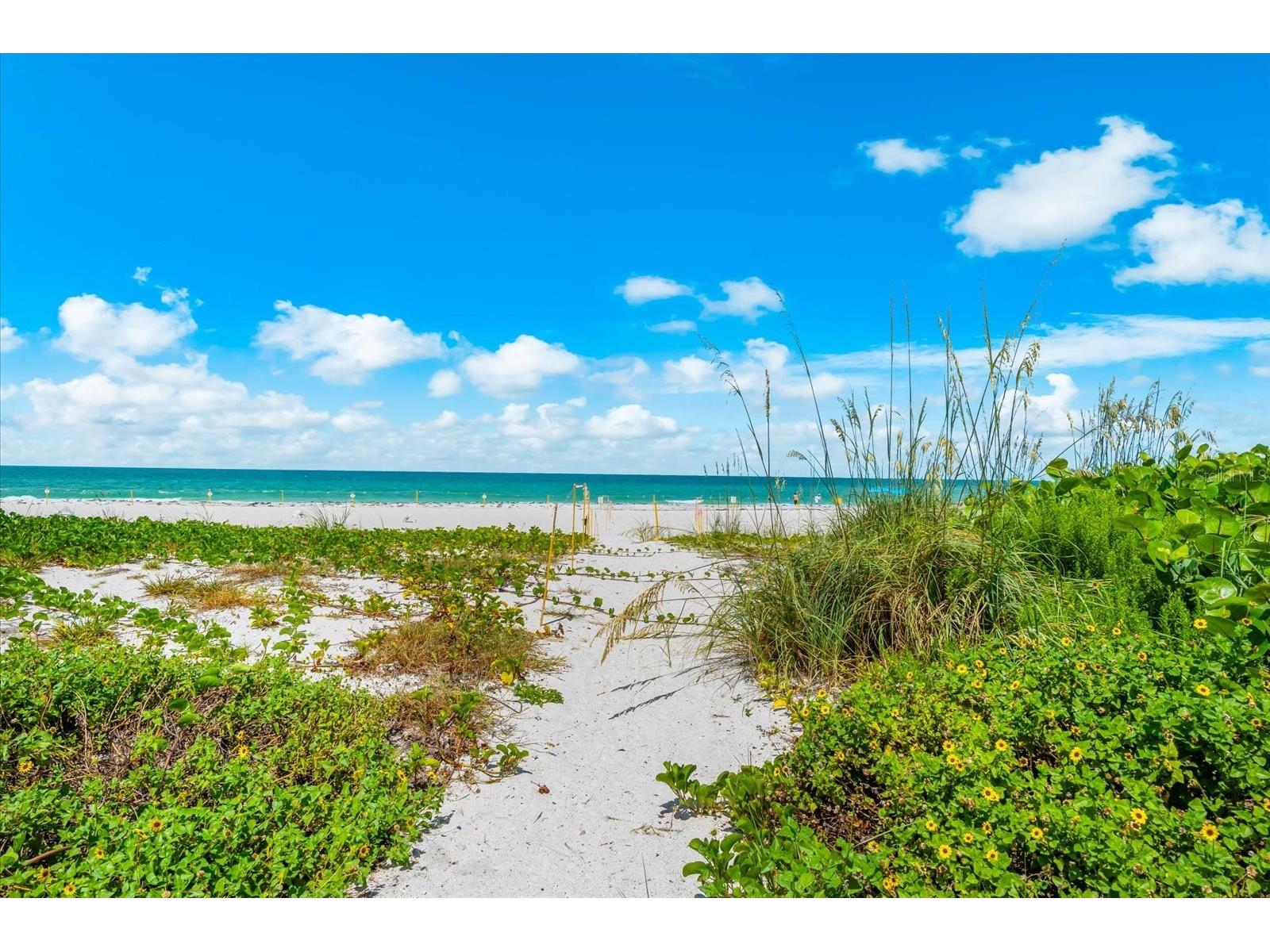 2600 Gulf Drive N #33 Bradenton Beach FL 34217 - GULF OF AMERICA A4695594 image39