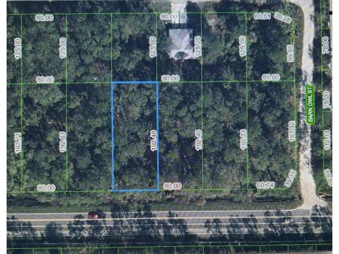 2600 Hammock Road Sebring FL 33872 P4937840 image2