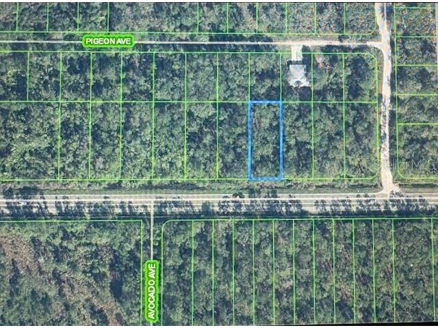 2600 Hammock Road Sebring FL 33872 P4937840 image3