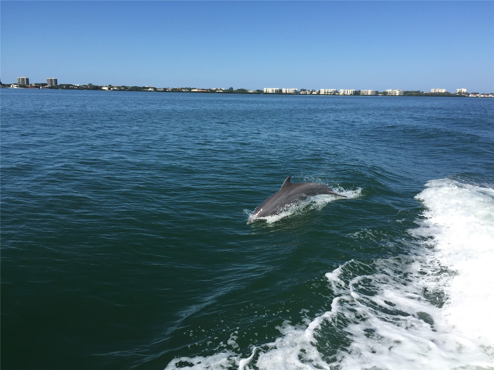 2600 Harbourside Drive #C13 Longboat Key FL 34228 - SARASOTA BAY A4686064 image20