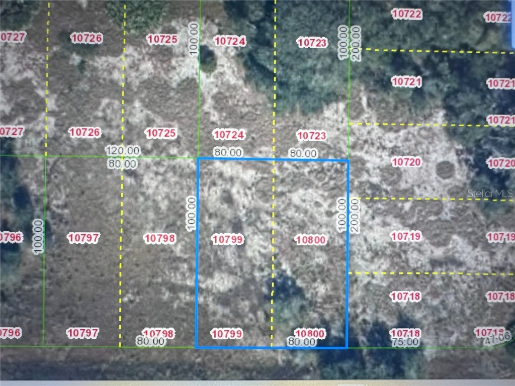 2600 London Rd Avon Park FL 33825 S5136268 image1