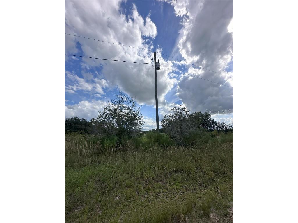 2600 London Rd Avon Park FL 33825 S5136268 image3