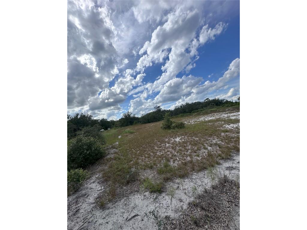 2600 London Rd Avon Park FL 33825 S5136268 image5