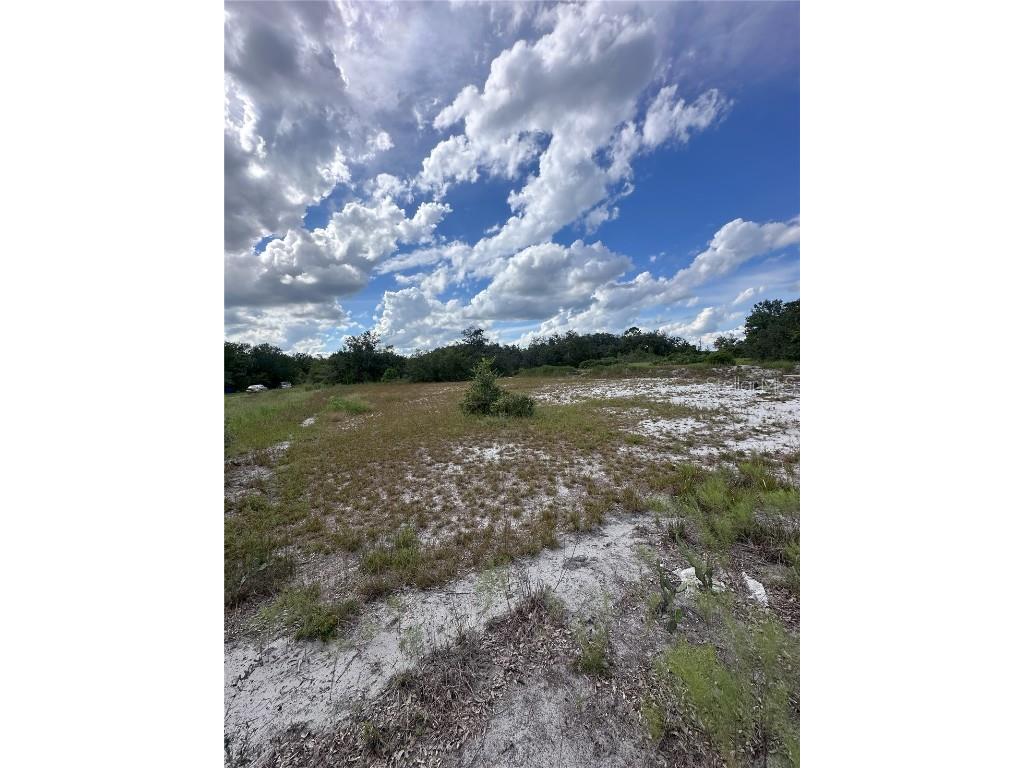 2600 London Rd Avon Park FL 33825 S5136268 image6