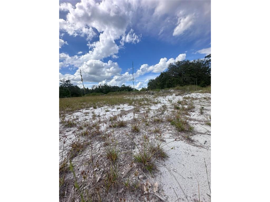 2600 London Rd Avon Park FL 33825 S5136268 image7