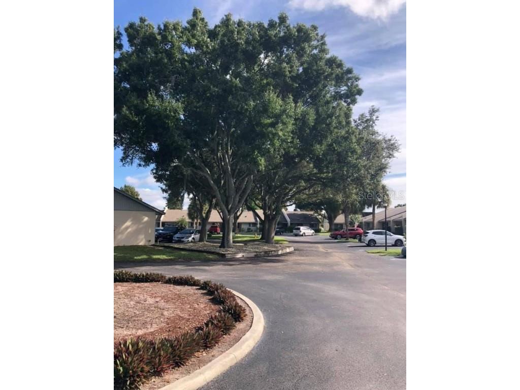 2600 Lucerne Park Road #514 Winter Haven FL 33881 L4957356 image11