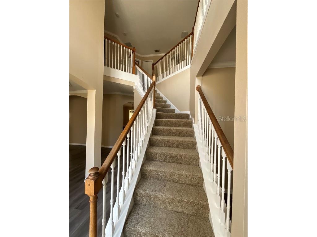 2600 Lutza Way Kissimmee FL 34746 S5137985 image22