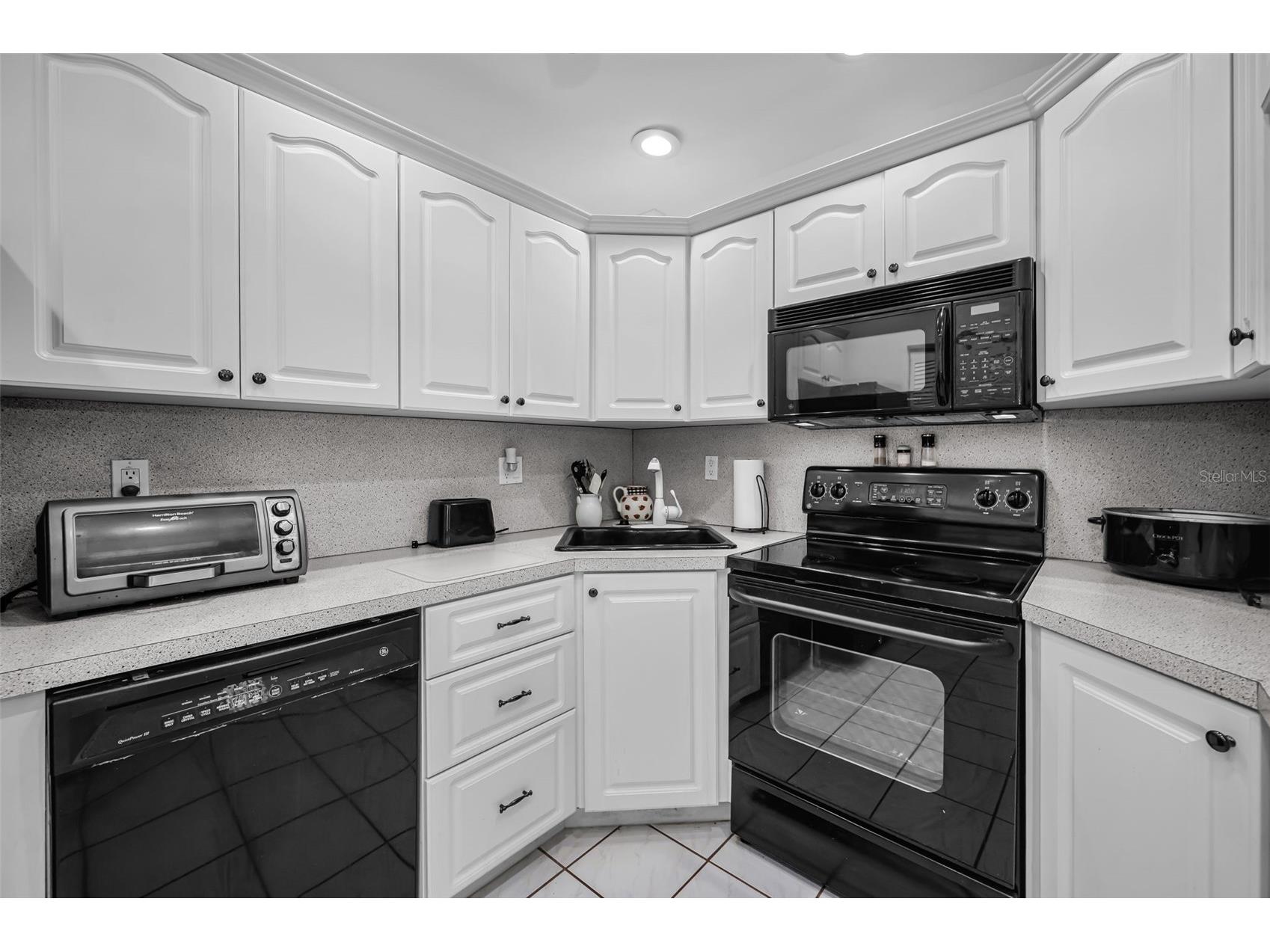 2600 Pine Ridge Way S #A2 Palm Harbor FL 34684 TB8506619 image20