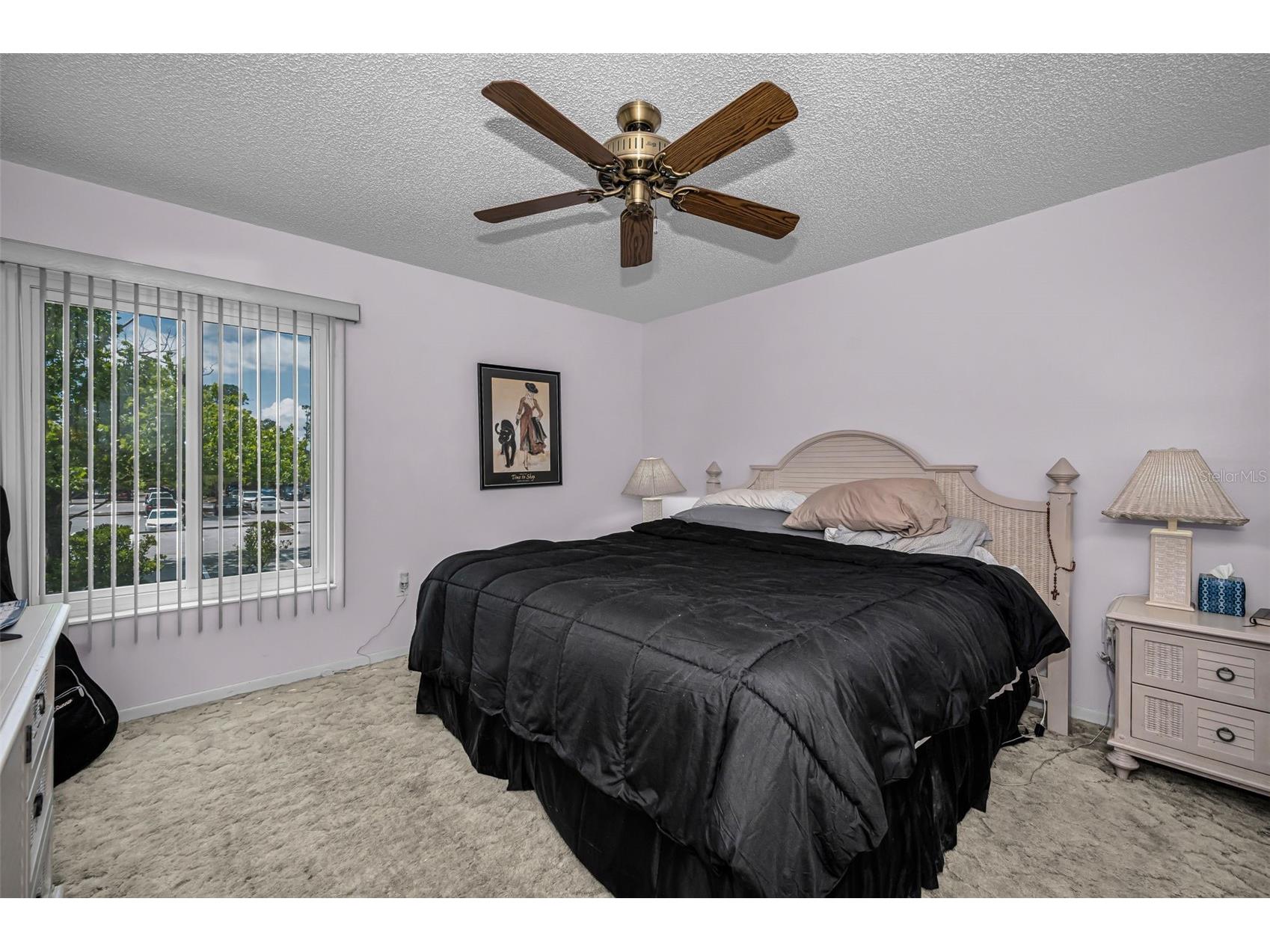 2600 Pine Ridge Way S #A2 Palm Harbor FL 34684 TB8506619 image25