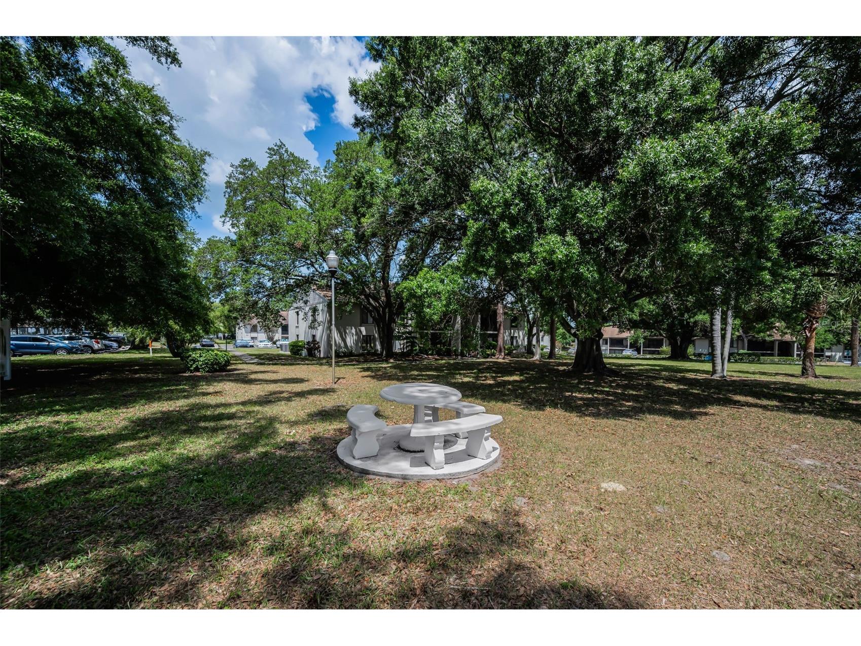 2600 Pine Ridge Way S #A2 Palm Harbor FL 34684 TB8506619 image32