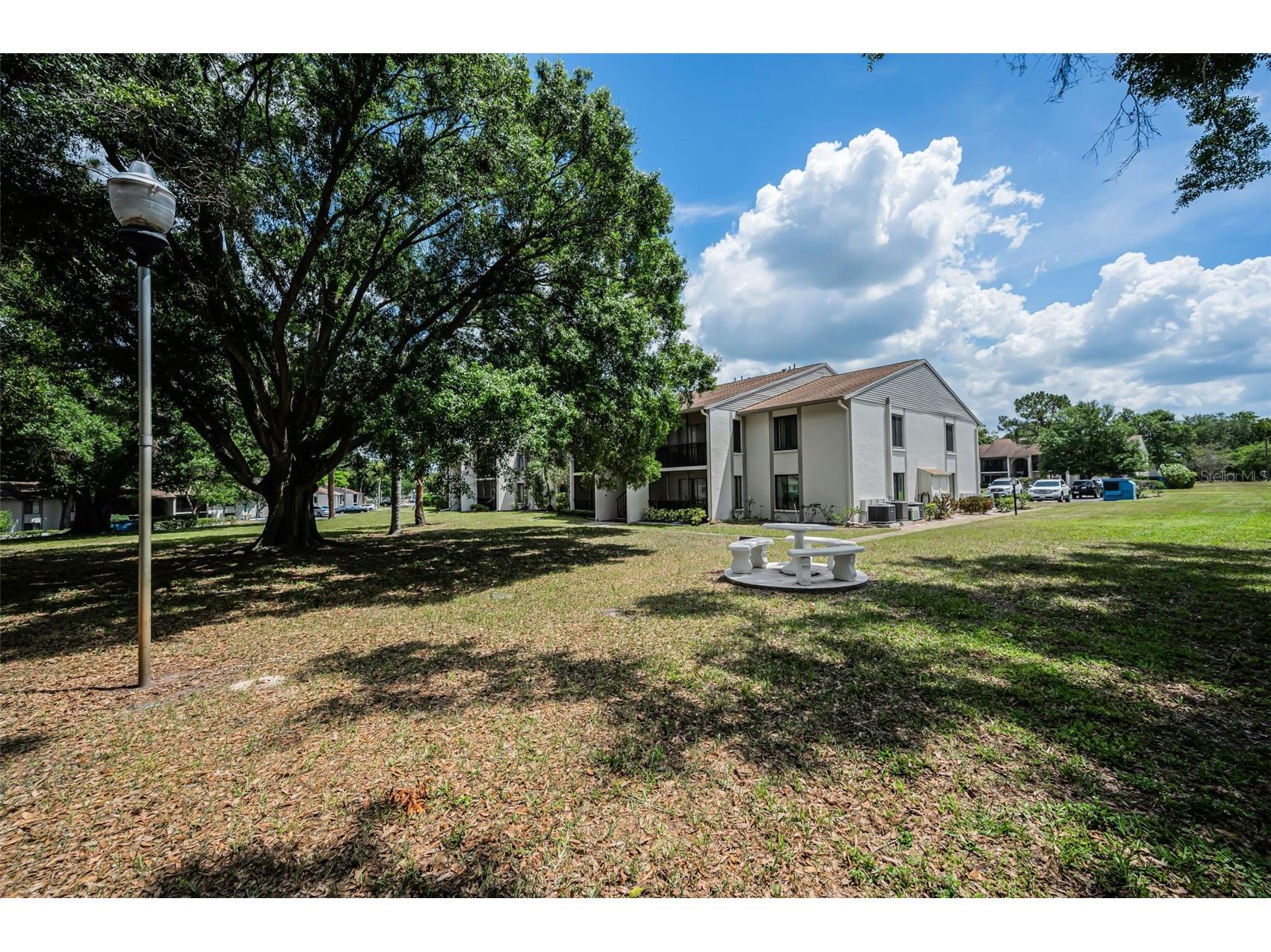 2600 Pine Ridge Way S #A2 Palm Harbor FL 34684 TB8506619 image33