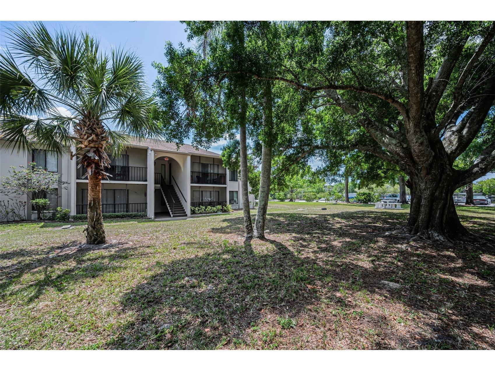 2600 Pine Ridge Way S #A2 Palm Harbor FL 34684 TB8506619 image34