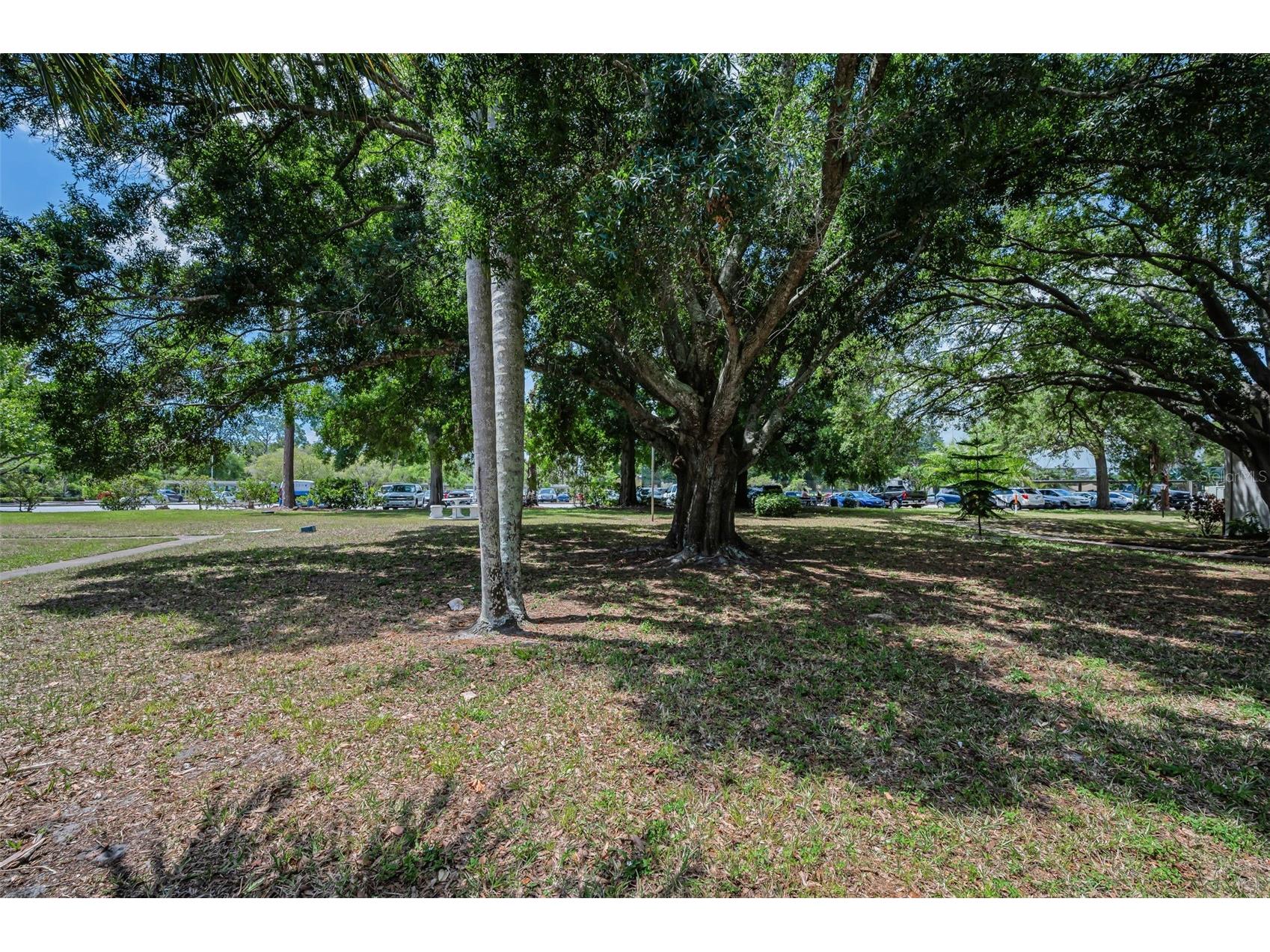 2600 Pine Ridge Way S #A2 Palm Harbor FL 34684 TB8506619 image35