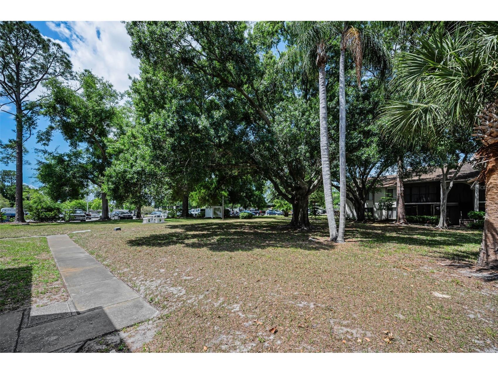 2600 Pine Ridge Way S #A2 Palm Harbor FL 34684 TB8506619 image36