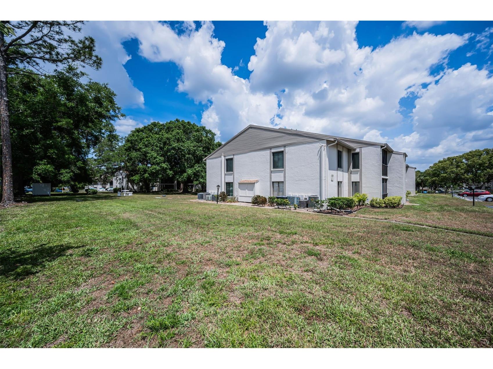 2600 Pine Ridge Way S #A2 Palm Harbor FL 34684 TB8506619 image37