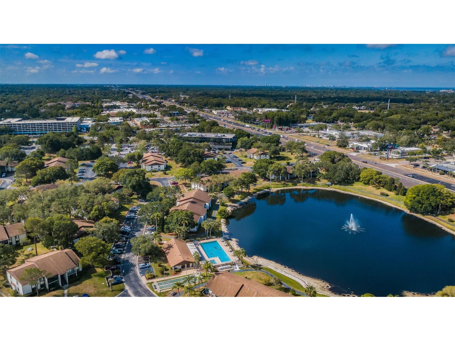 2600 Pine Ridge Way S #A2 Palm Harbor FL 34684 TB8506619 image41
