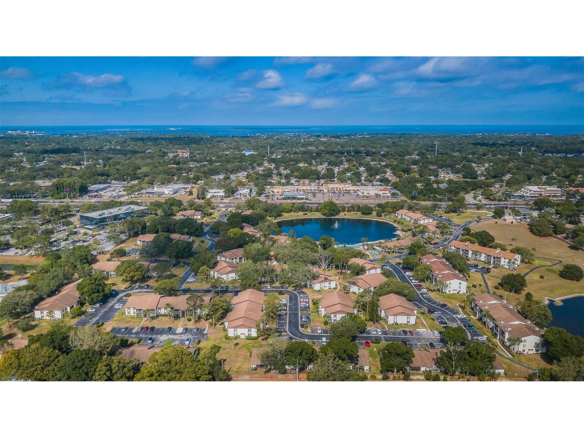 2600 Pine Ridge Way S #A2 Palm Harbor FL 34684 TB8506619 image53