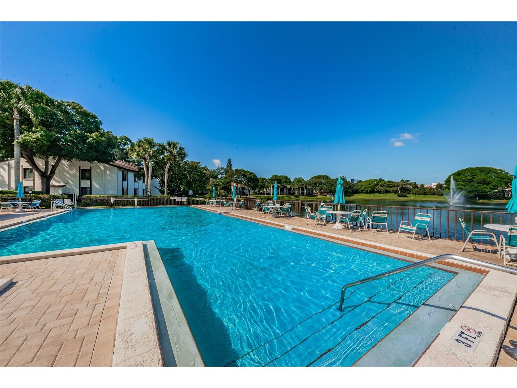 2600 Pine Ridge Way S #A2 Palm Harbor FL 34684 TB8506619 image54
