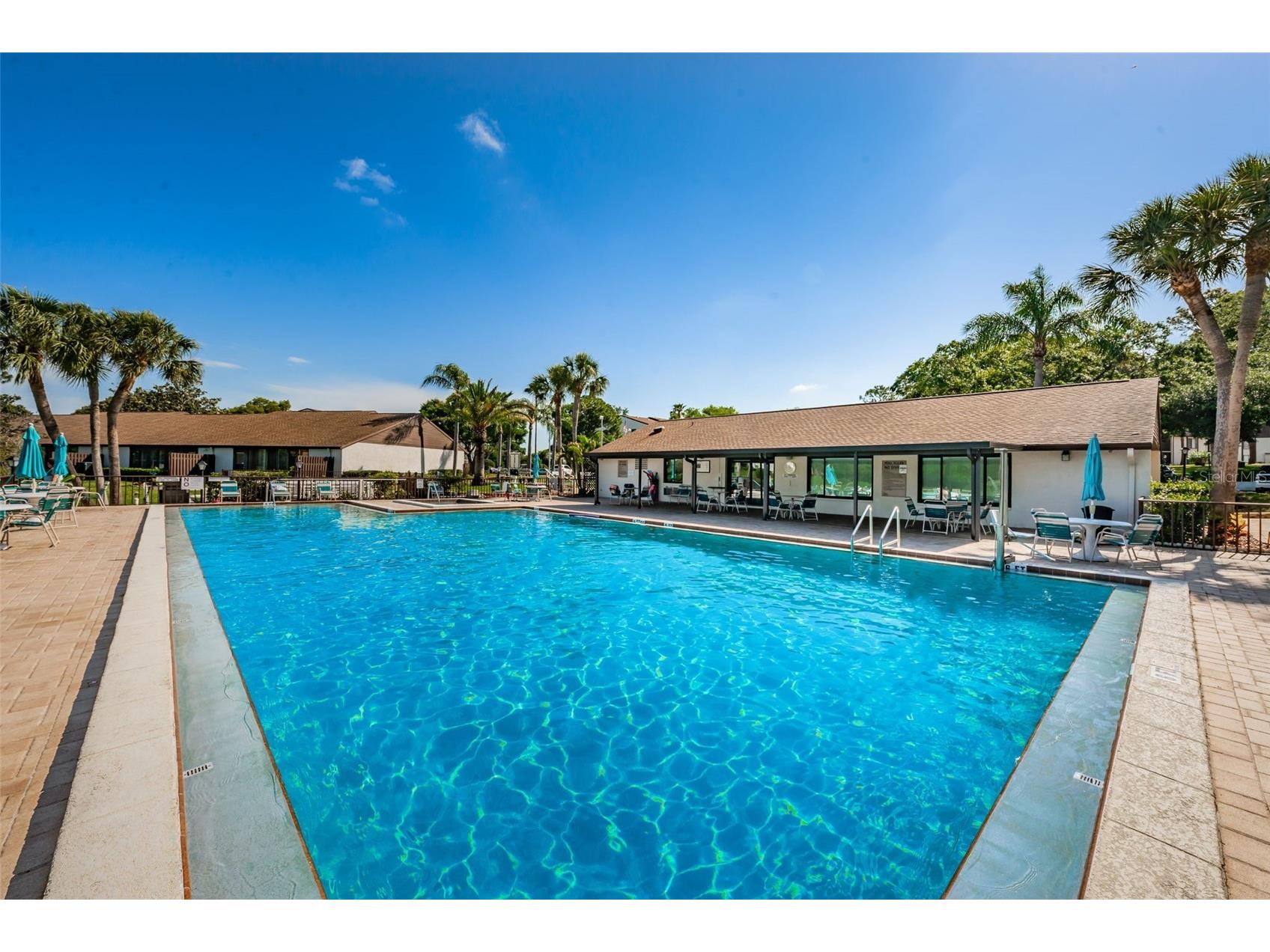 2600 Pine Ridge Way S #A2 Palm Harbor FL 34684 TB8506619 image57