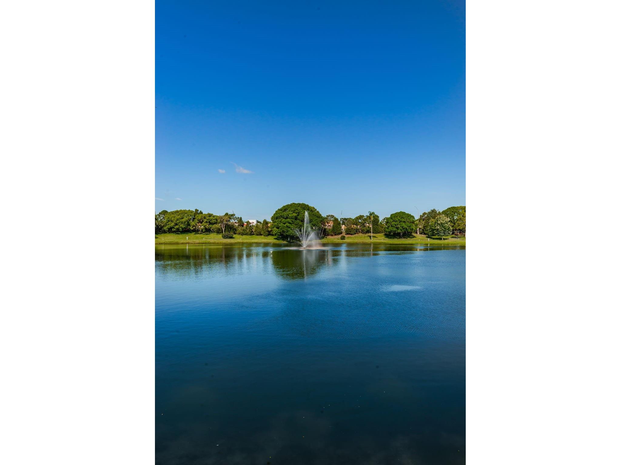 2600 Pine Ridge Way S #A2 Palm Harbor FL 34684 TB8506619 image60