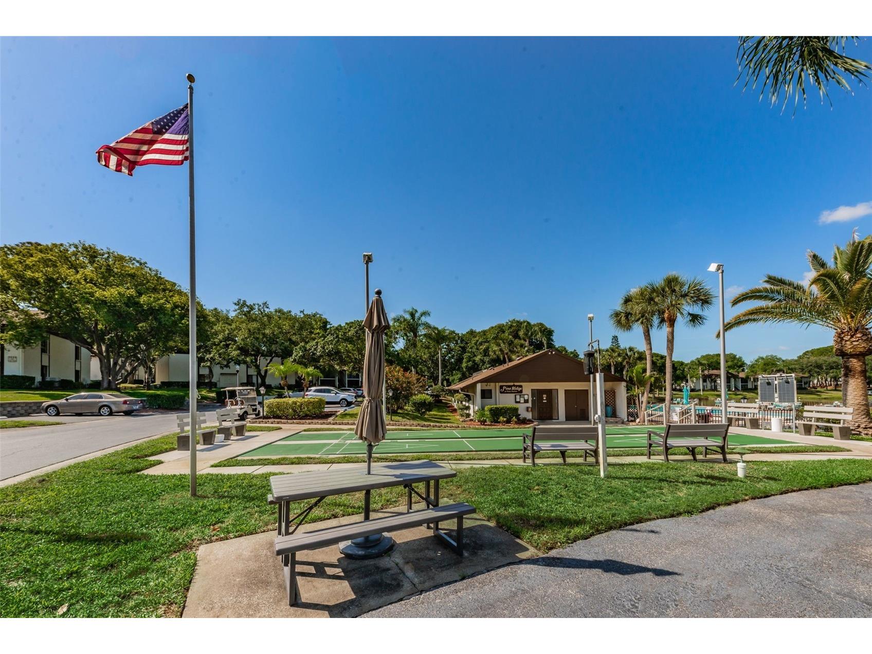 2600 Pine Ridge Way S #A2 Palm Harbor FL 34684 TB8506619 image63